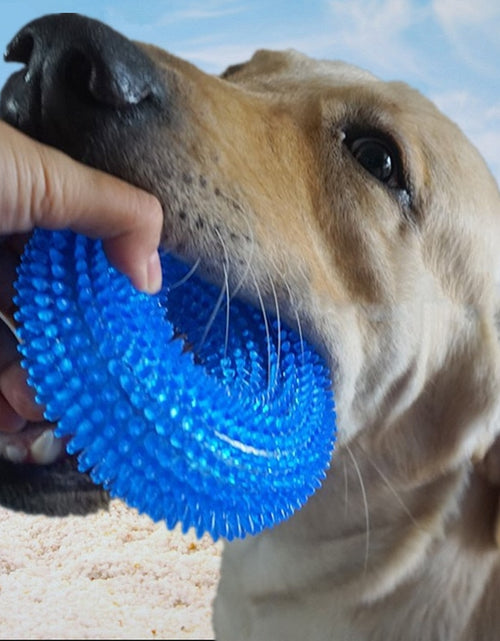 Load image into Gallery viewer, Pet Toys Bite Resistant Sound Toy Chew Teeth
