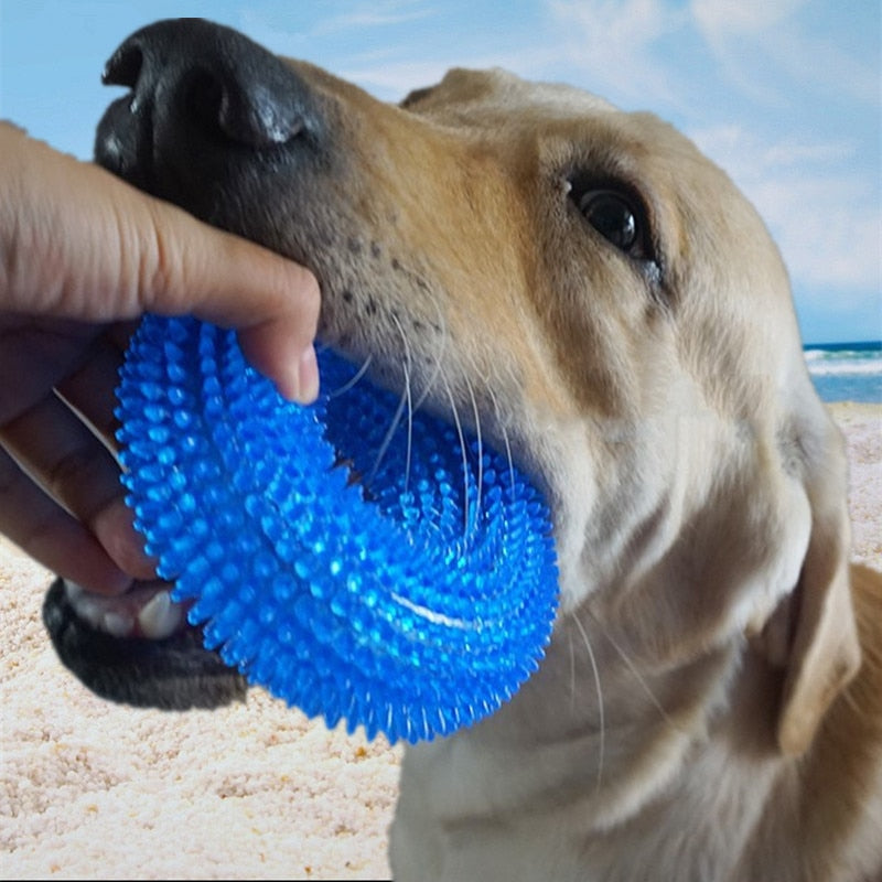 Pet Toys Bite Resistant Sound Toy Chew Teeth